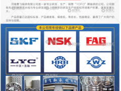 河南勇飛軸承有限公司已加入《起重匯采購(gòu)指南》！