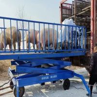 河南升降平臺(tái)廠家、轉(zhuǎn)豬臺(tái)、升降平臺(tái)銷售